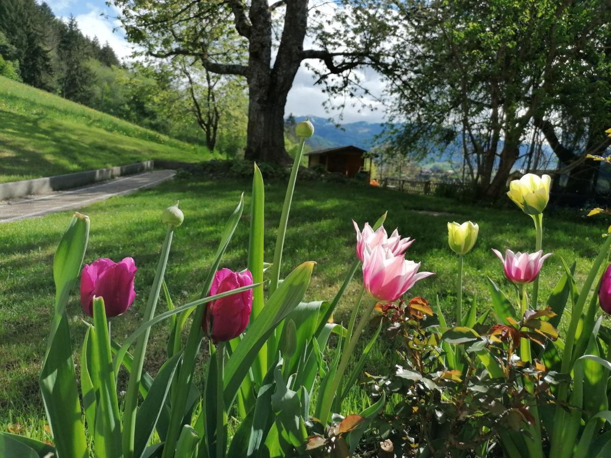 Hoerandlhof Aigen im Ennstal Kültér fotó