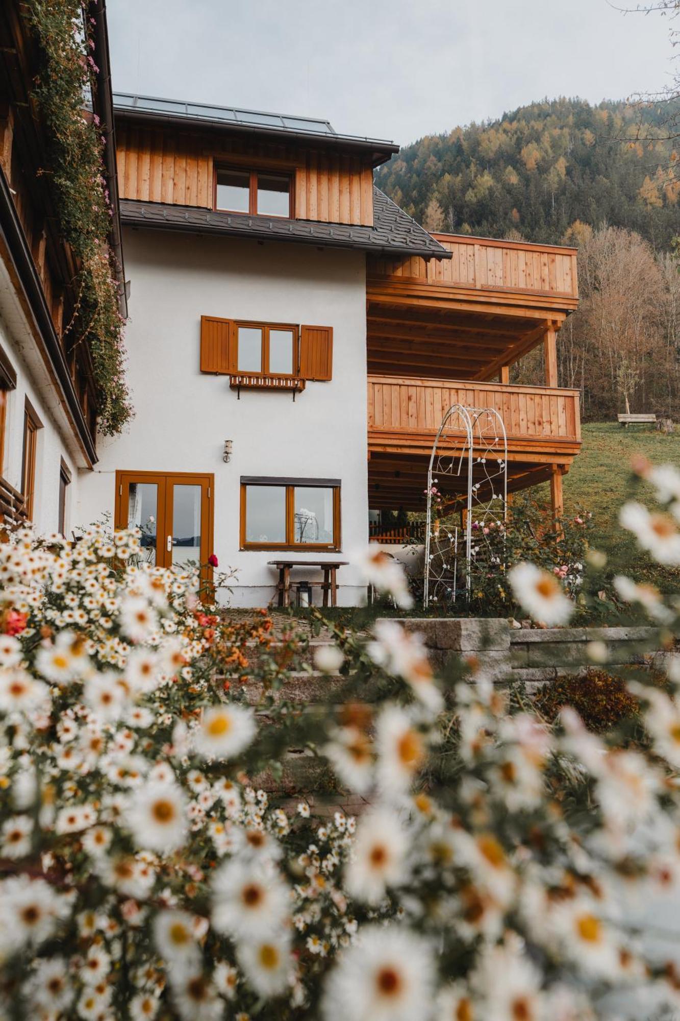 Hoerandlhof Aigen im Ennstal Kültér fotó